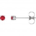14kt White 2.5mm Round Ruby Earrings